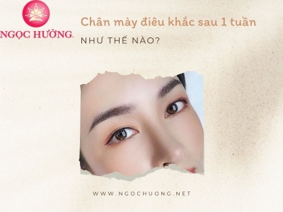 Chân Mày Điêu Khắc Sau 1 Tuần Như Thế Nào? Giải Đáp Từ Chuyên Gia