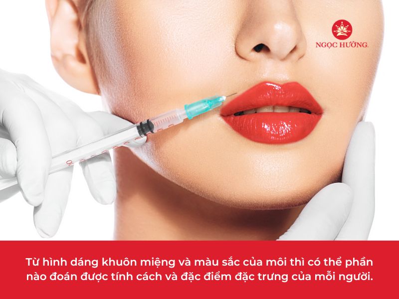 Các Loại Môi Phụ Nữ Hình Dạng Khác Nhau Của Miệng Phụ Nữ Mỏng Hình Cung Đầy  Đủ Xuống Tròn Nặng Nề Hoạt Hình Đầy Màu Sắc Biểu Tượng Gợi Cảm Của