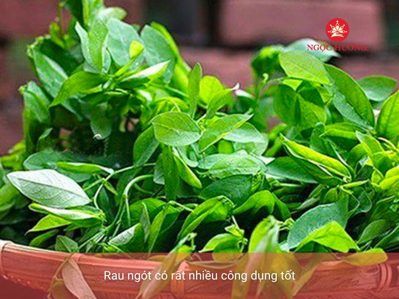 Sau khi xăm môi có được ăn rau ngót không Có tác dụng gì #36 Sau khi xăm môi có được ăn rau ngót không Có tác dụng gì