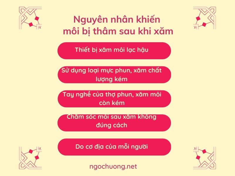 nguyen-nhan-khien-moi-bi-tham-sau-phun